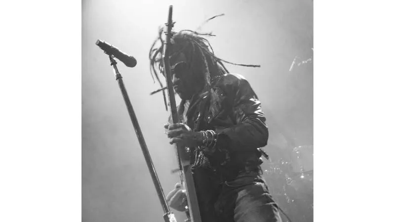 Una fan le arrancó cuatro rastas al cantante. / IG: lennykravitz