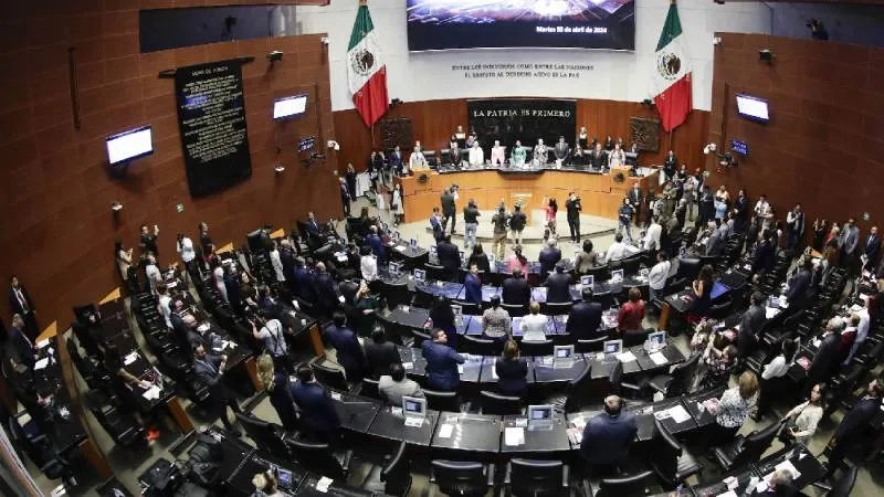 El Senado deberá integrar una lista de 10 candidatos antes de enviar los nombres al Poder Ejecutivo./ Senado