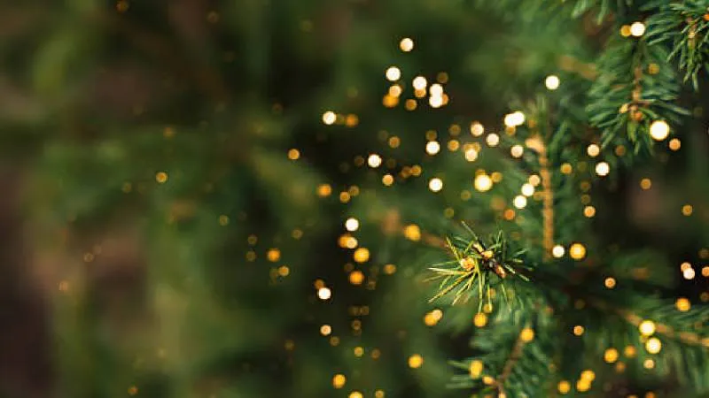 Familias celebran el Adviento con momentos de oración, reflexión y unión./ Pixabay