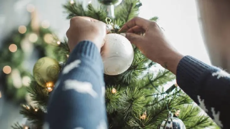 “La decoración temprana también se percibe como una señal de sociabilidad y cercanía entre vecinos.”/ Pixabay