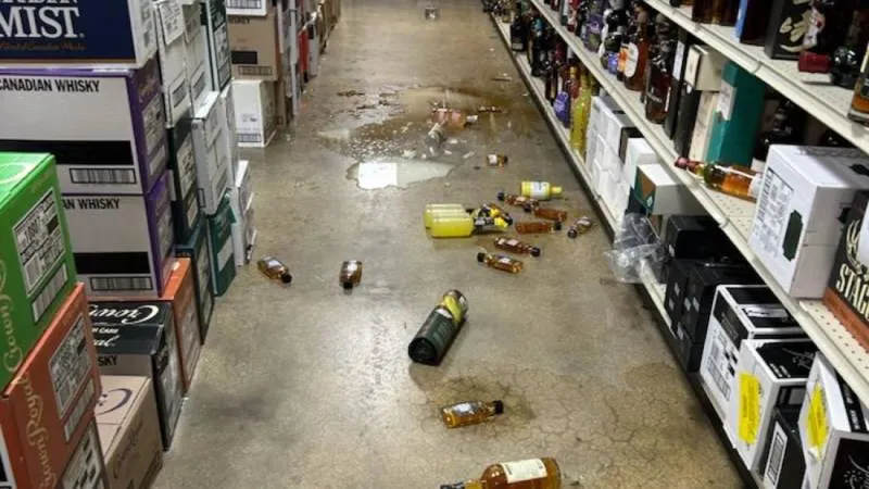 Hanover County Animal Protection and Shelter