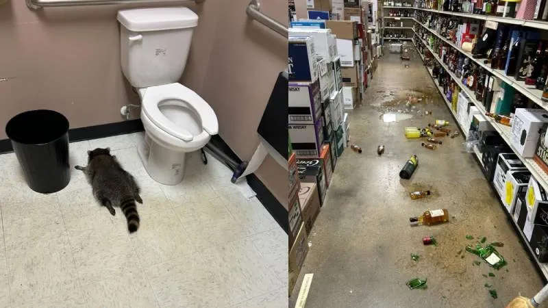 Hanover County Animal Protection and Shelter