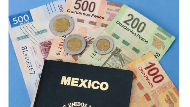 El trámite puede iniciarse en línea a través del portal de citas de la Secretaría de Relaciones Exteriores./ Pixabay