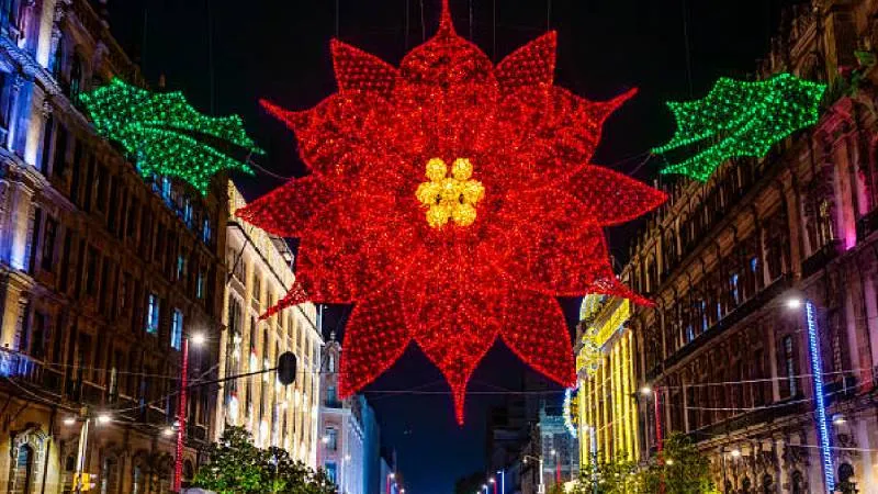 La Verbena Navideña 2025 llenará el Zócalo de la CDMX con luces, decoraciones y miles de Nochebuenas provenientes de Xochimilco./ Pixabay