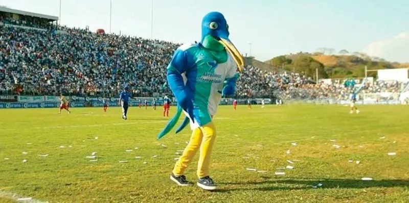 Colibrís solo estuvo un semestre en primera división | MEXSPORT