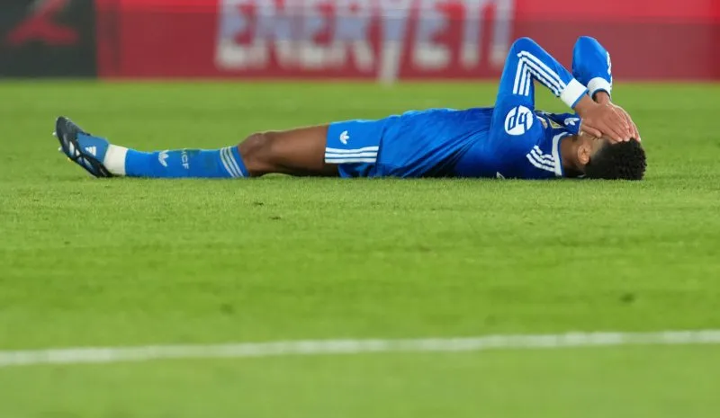 Lamentos de Bellingham