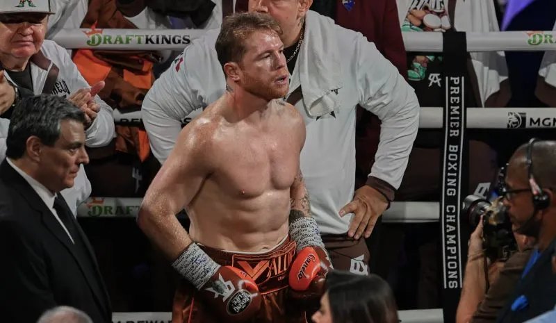 Canelo en combate