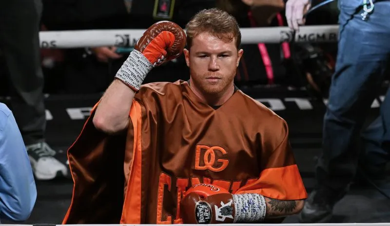 Canelo en combate