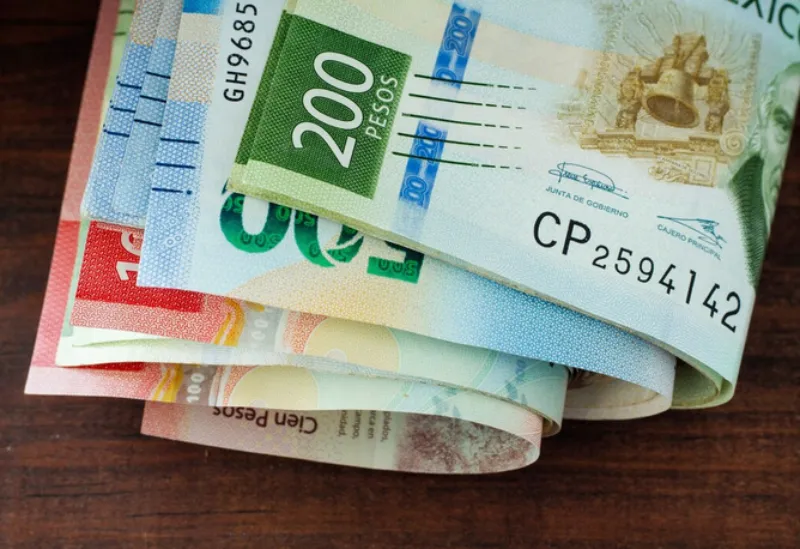 El salario mínimo quedaría en 312.25 pesos diarios para 2026 / FREEPIK