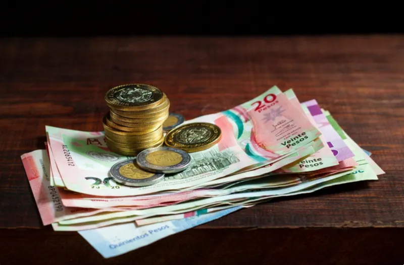 En las próximas semanas se conocerá si hay un aumento / FREEPIK