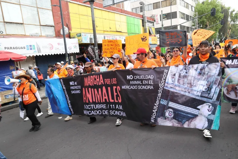 Diversas organizaciones han estado protestando por el maltrato a los animales en el mercado de Sonora / Redes Sociales