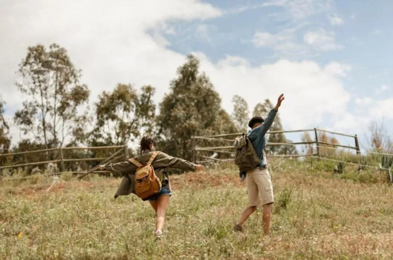 Un paseo por el bosque podría ayudar a la gente a sanar emocionalmente / FREEPIK