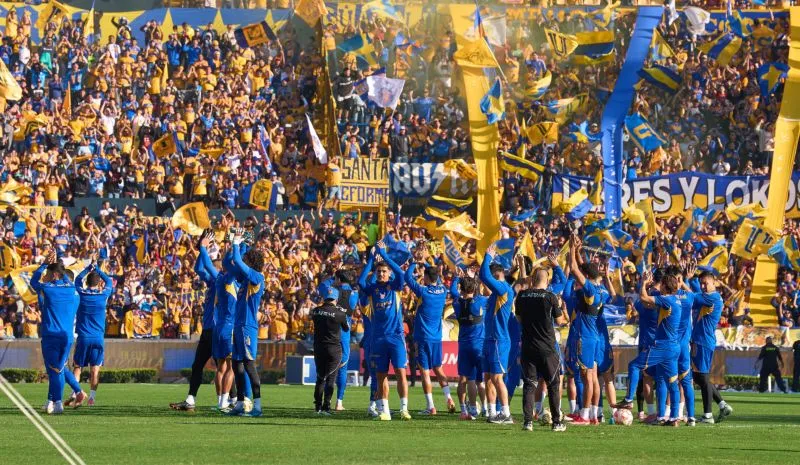 Entrenamiento de Tigres