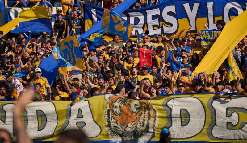 Afición de Tigres