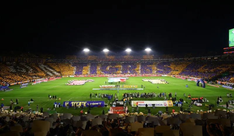 Afición de Tigres