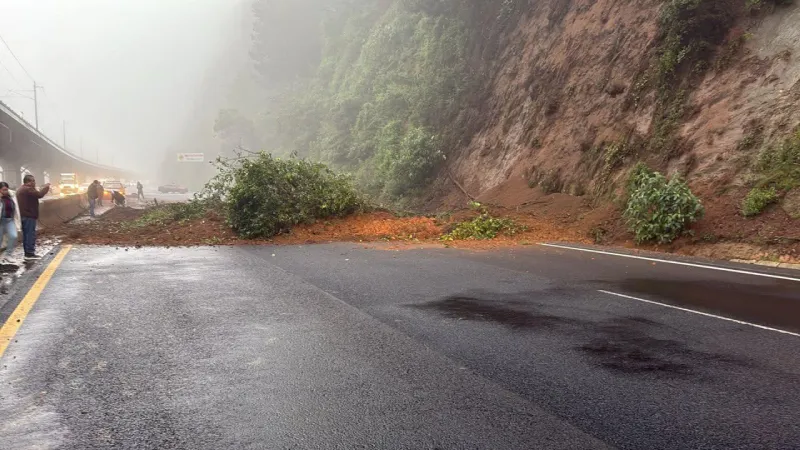 Piedras, tierra y árboles se vinieron abajo por la mañana / Redes Sociales
