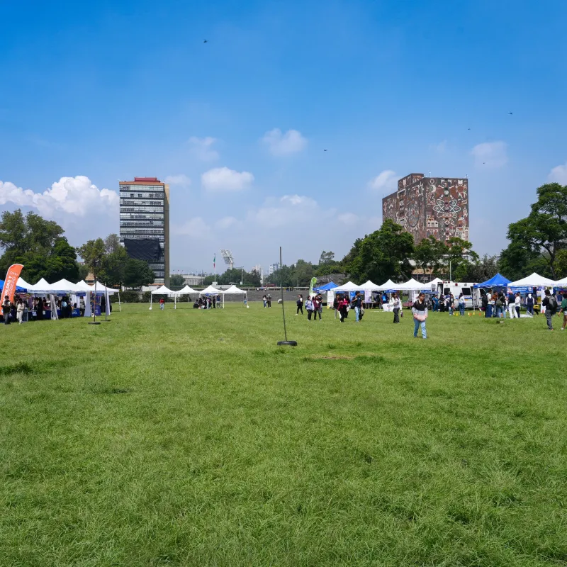 La UNAM dijo que la facultad tomará sus clases en línea / Redes Sociales