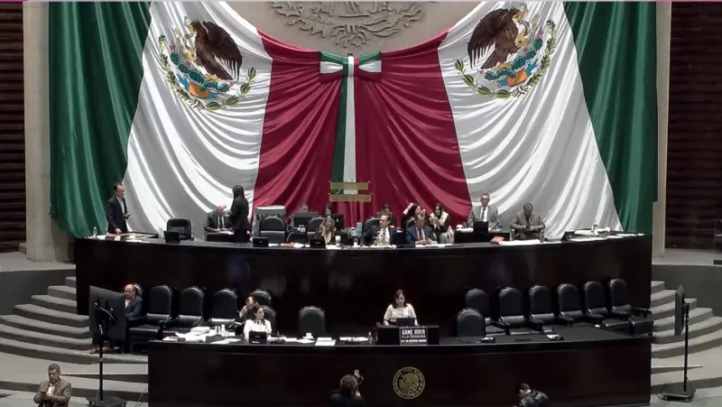 La diputada Iraís Reyes de la Torre defendió a los videojuegos en la Cámara de Diputados / Redes Sociales