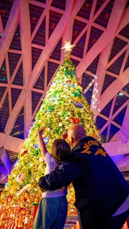 Los grupos son de 80 personas cada 15 minutos / FB: @ParamountMexico