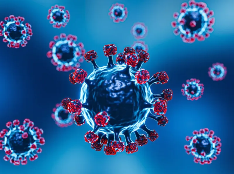 La variante K de la H3N2 no ha pisado suelo mexicano / FREEPIK