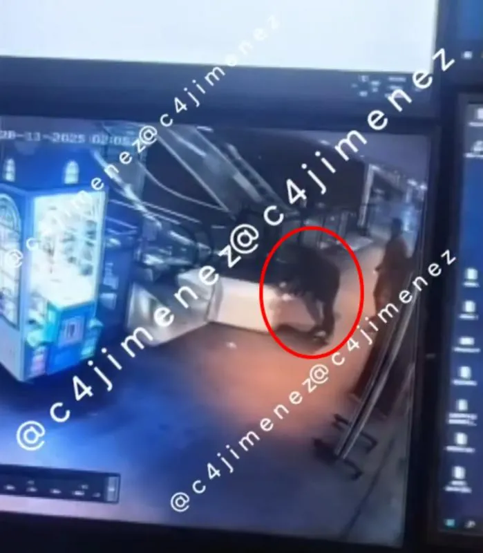 El diputado del Partido del Trabajo aventó un bote por las escaleras / Redes Sociales