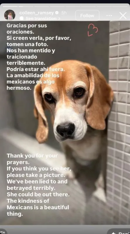 Mostró su frustración