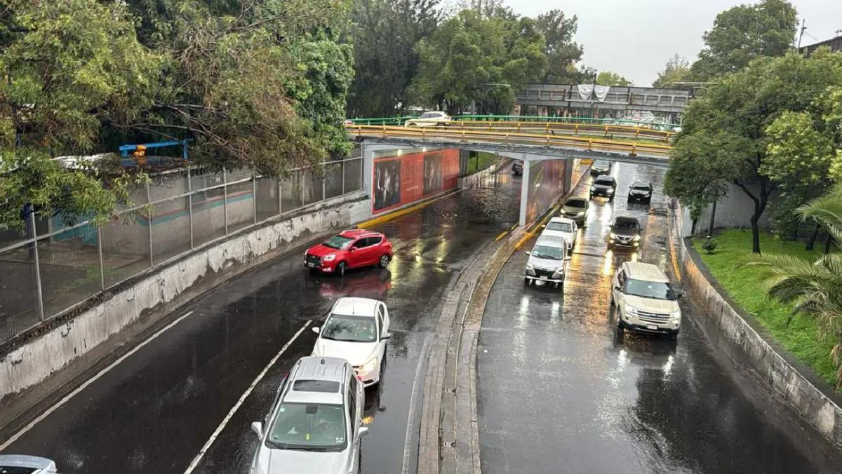 El principal problema se presenta en los bajo puentes de la capital/La Prensa
