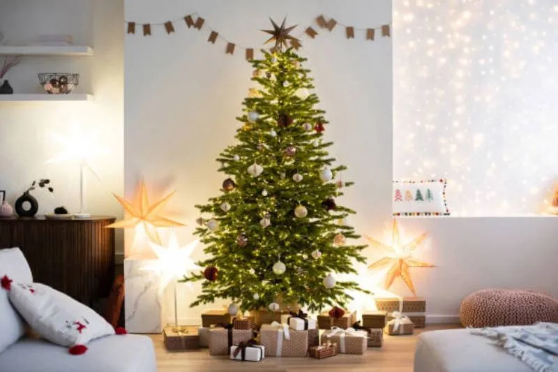 Cada año, miles de familias evalúan qué tipo de árbol elegir para celebrar la Navidad. / iStock