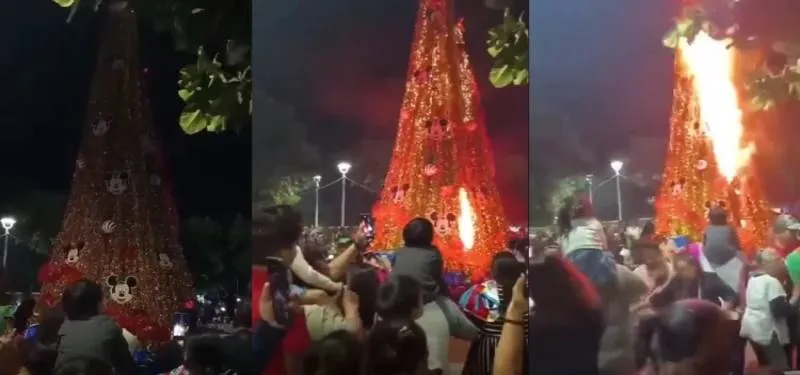 El arbolito se incendió instantes después de su encendido oficial. / RS