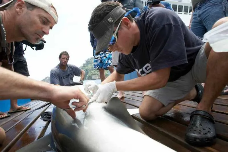 Mauricio Hoyos estaba a una expedición por Costa Rica/Facebook
