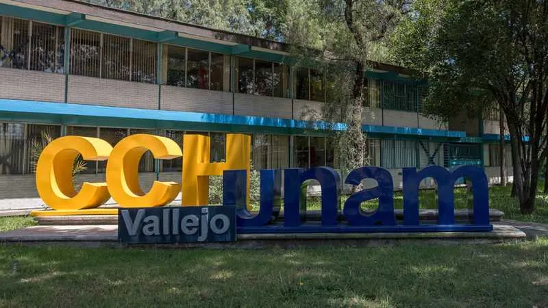 Los hechos sucedieron la tarde del martes en el CCH Vallejo/UNAM