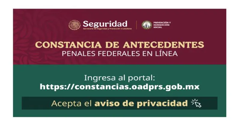 El trámite se realiza directamente en la plataforma oficial/Gobierno de México