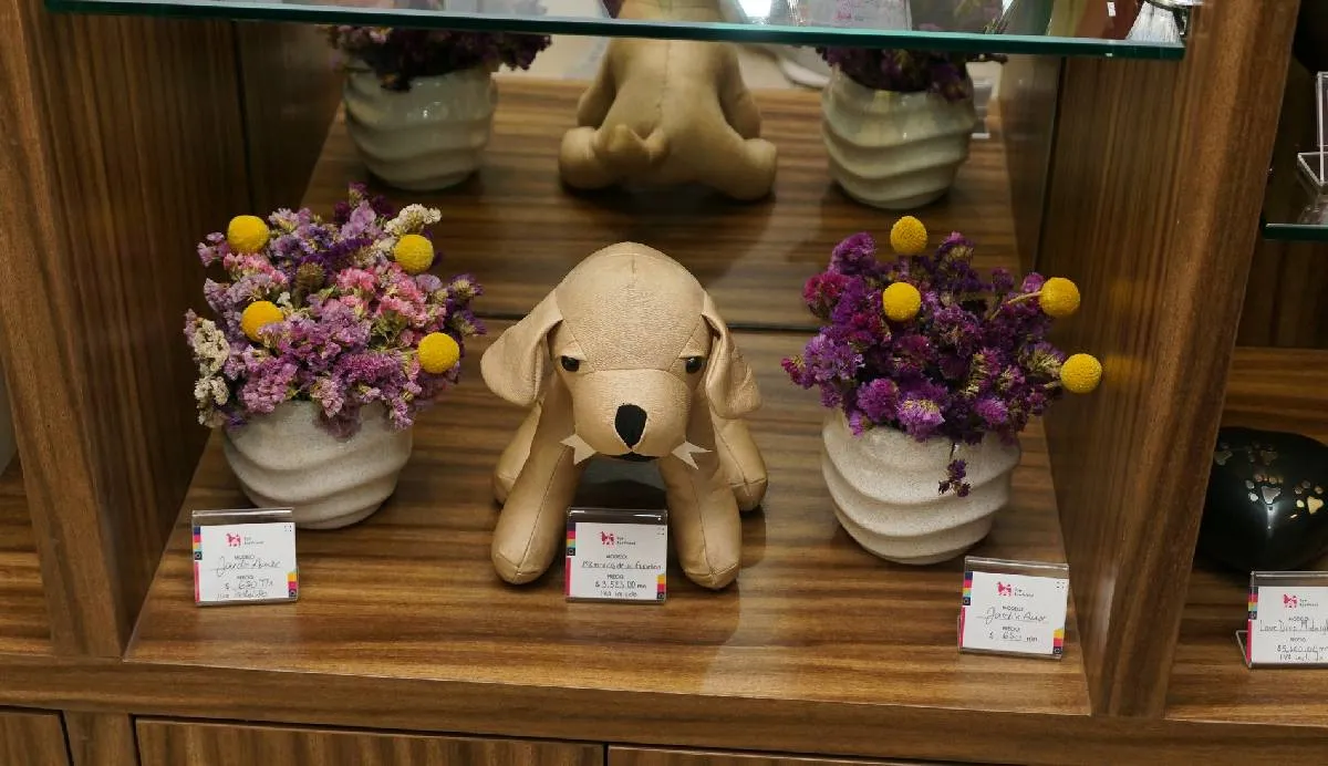 Bye Bye Friend ofrece una infraestructura especializada, atención personalizada y un servicio profesional 24/7 | FB: Bye Bye Friend