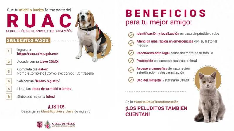 La RUAC es fácil de tramitar y completamente gratis/Gobierno CDMX