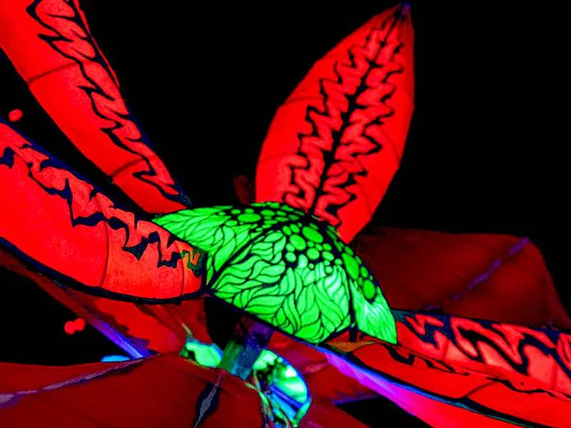 Floralia de Miguel Bolívar. / FILUX