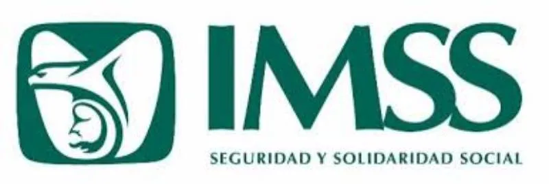El IMSS ofrece esta plataforma como parte de su transformación digital para un servicio más eficiente y accesible. / IMSS
