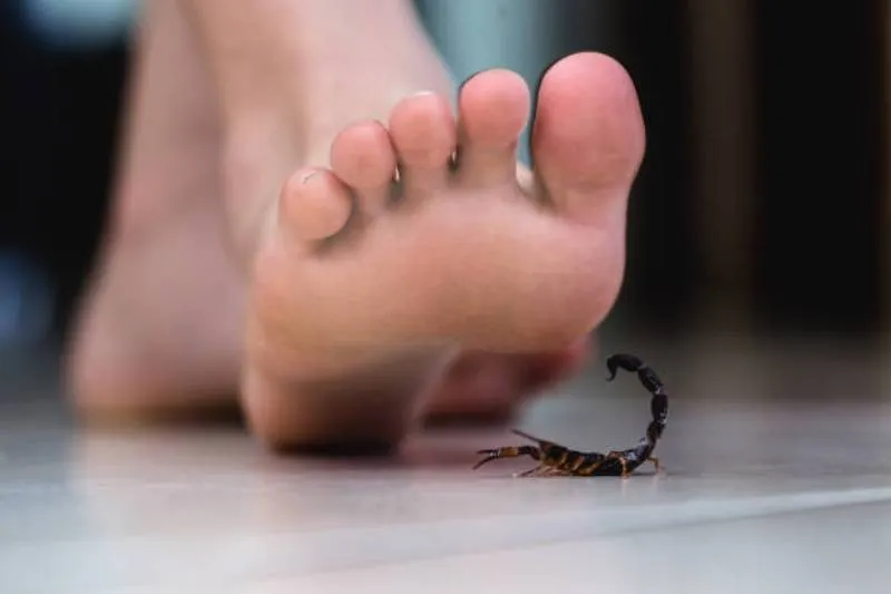 Este trágico incidente resalta la importancia de contar con los recursos médicos necesarios. / iStock