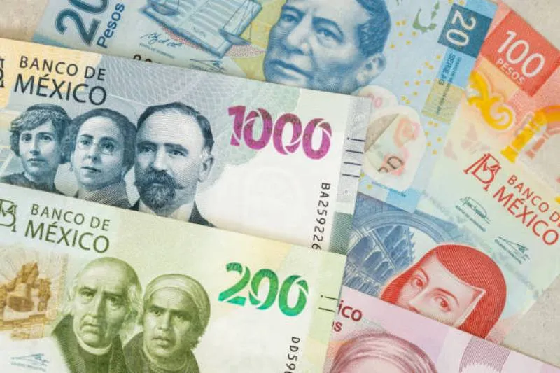 La nueva familia de billetes de Banxico seguirá abarcando desde 50 hasta 1 000 pesos. / iStock