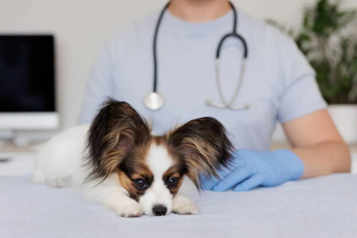 Brindará atención las 24 horas del día/iStock