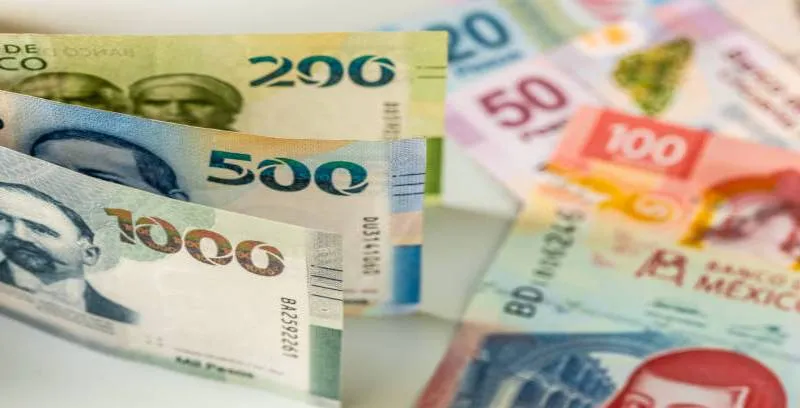 Pensionados y jubilados del IMSS podrán consultar con anticipación las fechas de pago para todo 2026. / iStock