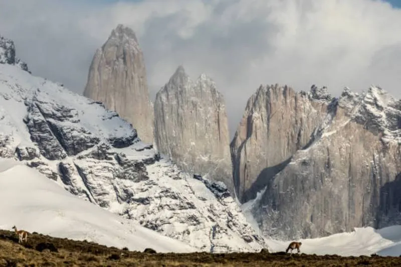 Se confirmó la muerte de cinco personas de diferentes nacionalidades. / iStock