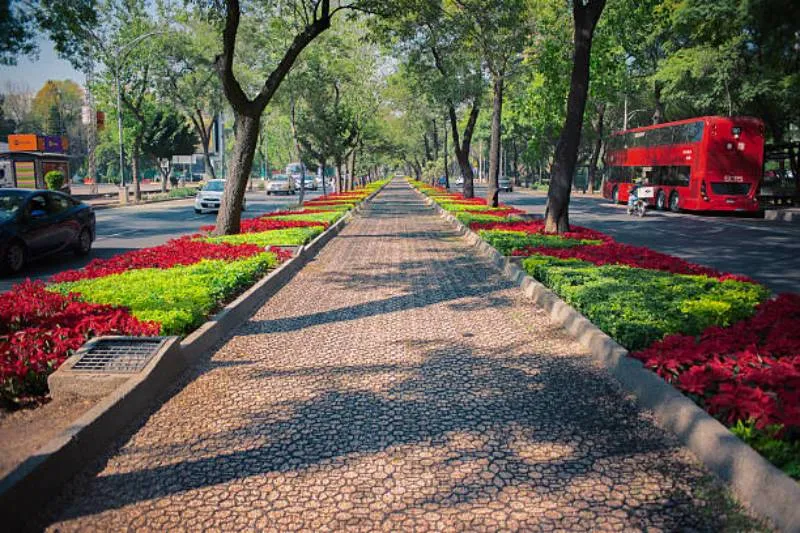 Participantes podrán elegir entre 5 o 15 kilómetros con kit y medalla conmemorativa. / iStock