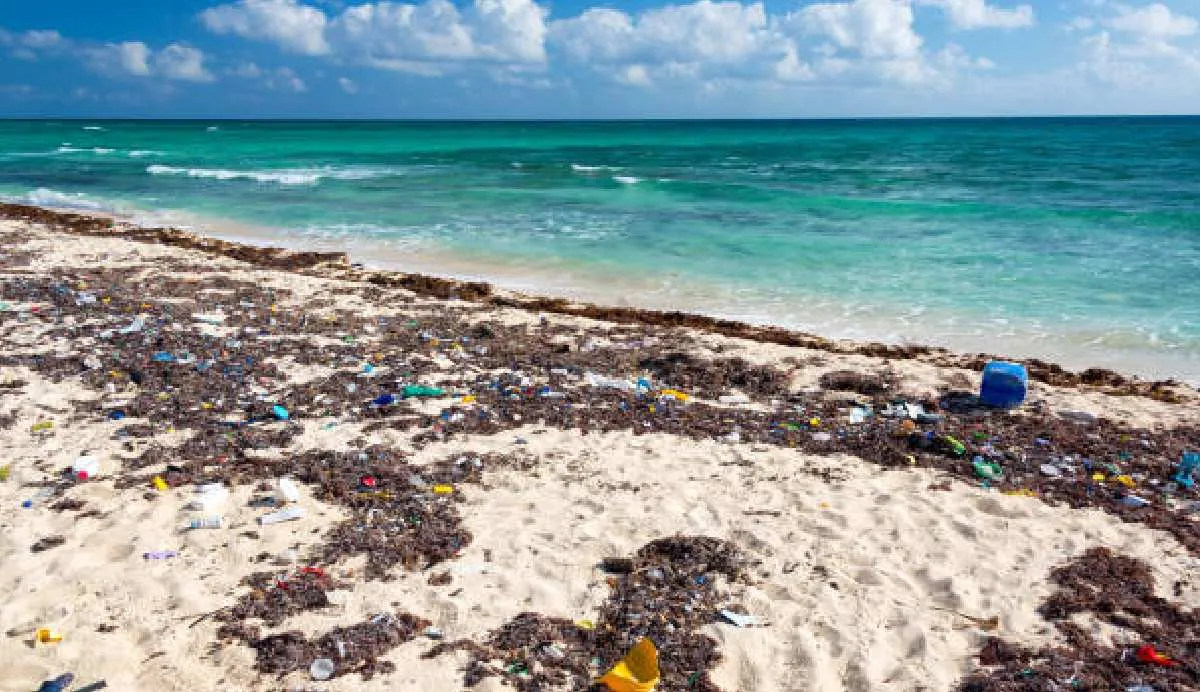 Algunas playas en nuestro país no son recomendables para los bañistas/Pixabay