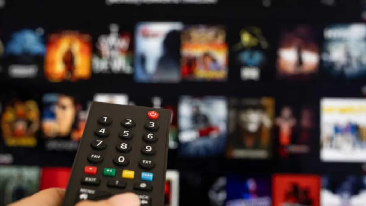 Las plataformas de streaming se han vuelto necesarias en el entretenimiento diario/Pixabay