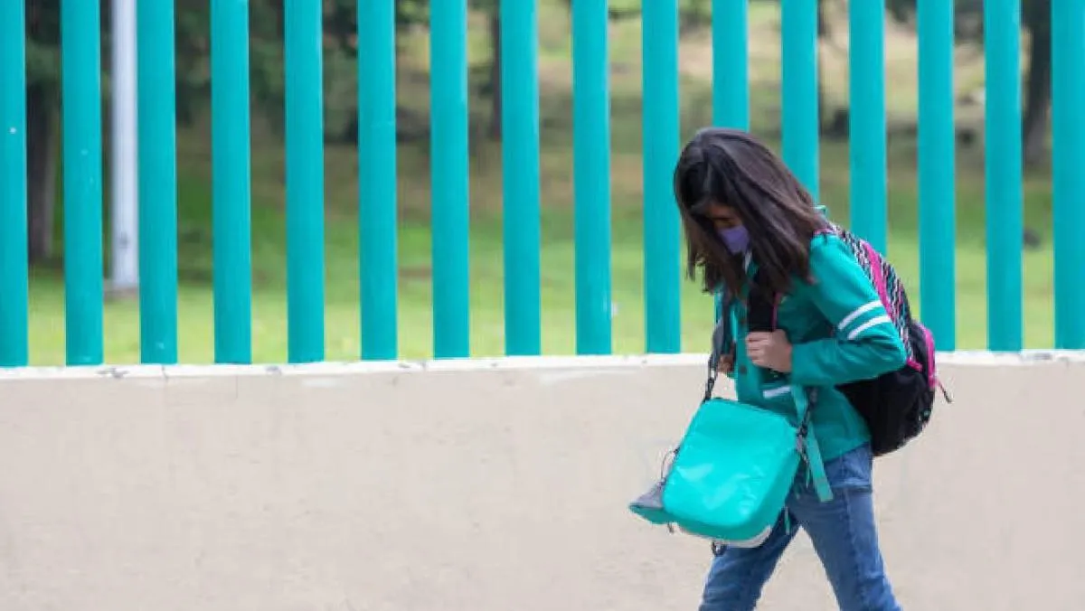 Por ahora la reforma sólo aplica para el estado de Nuevo León/Pixabay