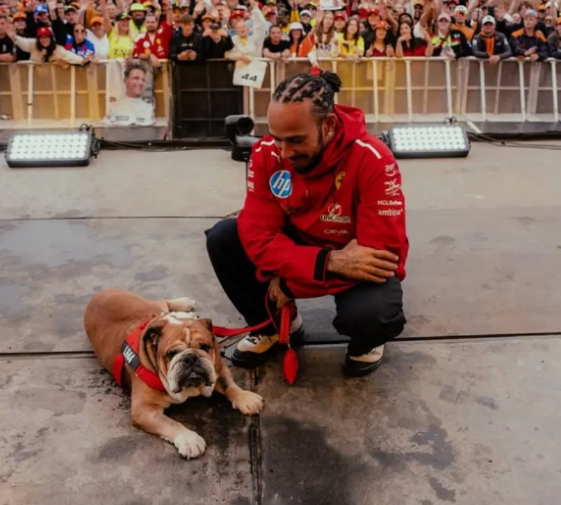 Hamilton con Roscoe | IG