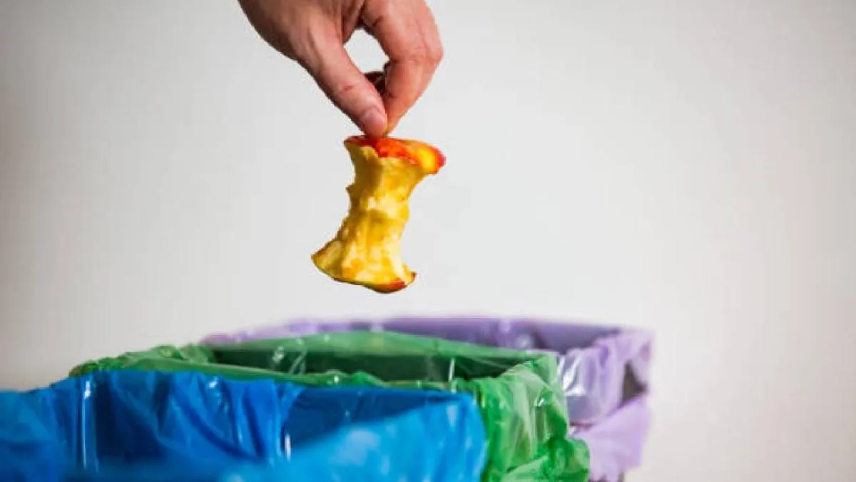 Tira la basura en los botes, no en la calle y recibirás una multa/Pixabay