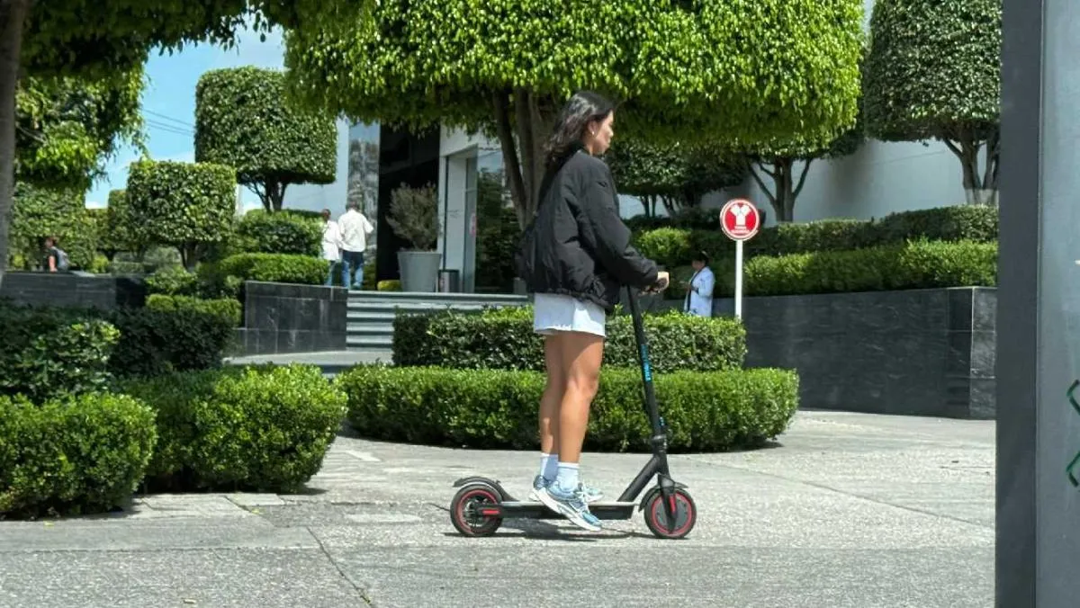 En septiembre dará inicio una campaña de concientización por parte del gobierno capitalino/X