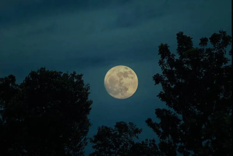 El jueves 4 de diciembre se podrá observar la Superluna Fría. / iStock