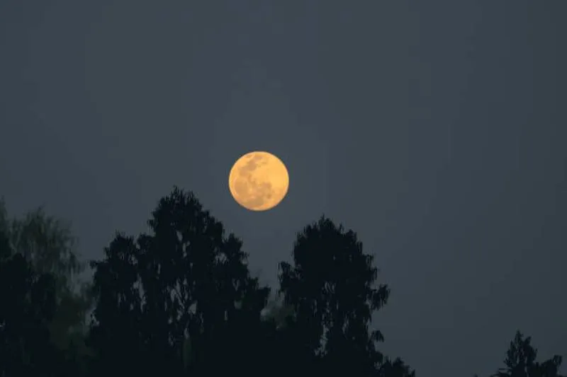 La Superluna Fría de 2025 tendrá su momento de máxima plenitud y mayor acercamiento a la Tierra. / iStock
